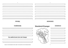 Papagei-Faltbuch-vierseitig-2.pdf